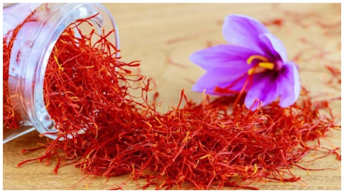 Kesar Skin Benefits: चेहरे पर इस तरह लगाएं केसर, मिलेगी बेदाग-निखरी त्वचा