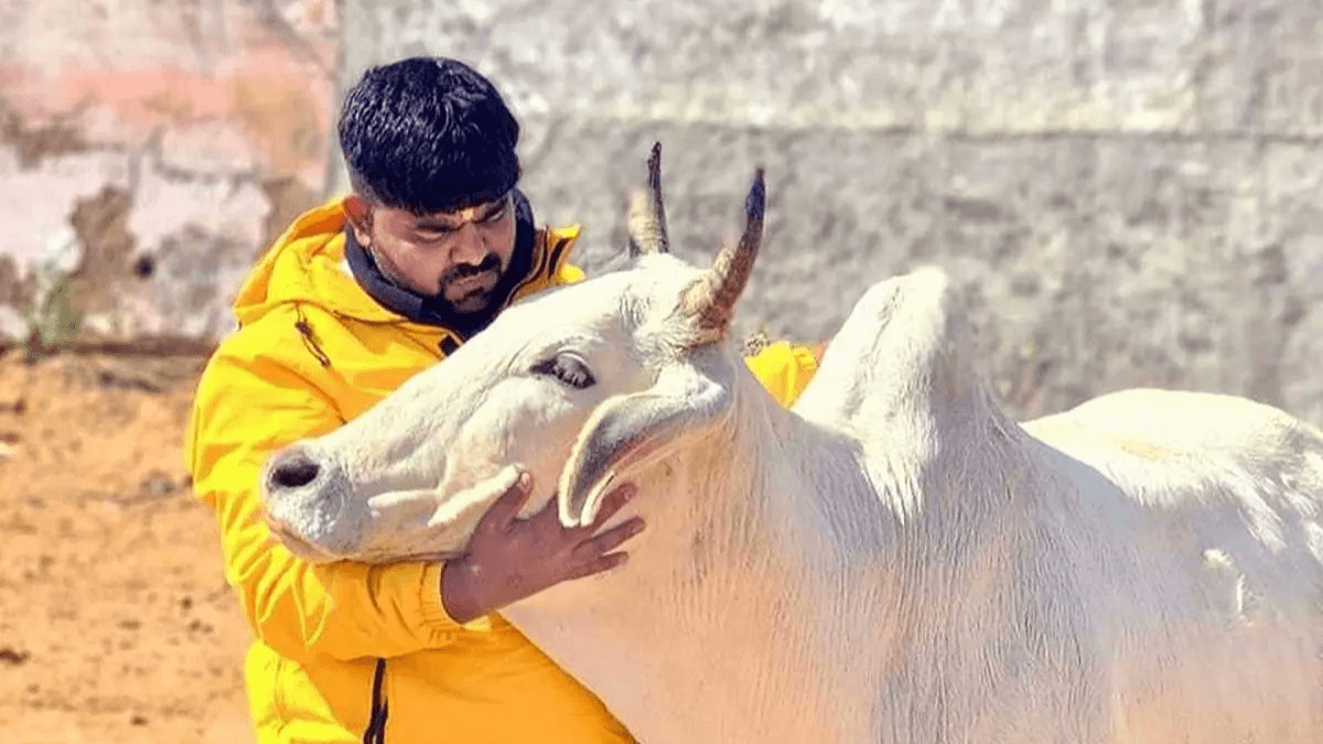 कौन है मोनू मानेसर, जिसके नाम पर जल उठा हरियाणा?
