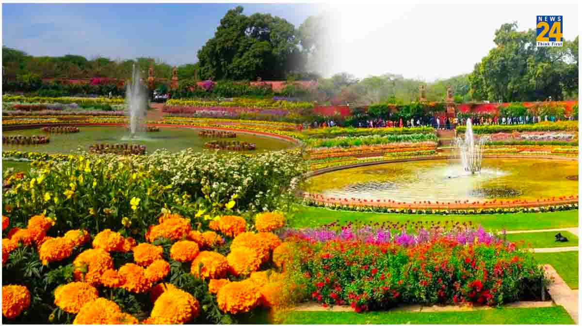 Rashtrapati Bhavan के अमृत उद्यान में सैर का मौका, नोट करें एंट्री, बुकिंग और टाइमिंग