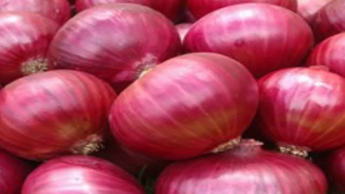Onion's Prices: टमाटर के बाद अब प्याज भी बेचेगी सरकार; की गई ये रियायती दरें निर्धारित