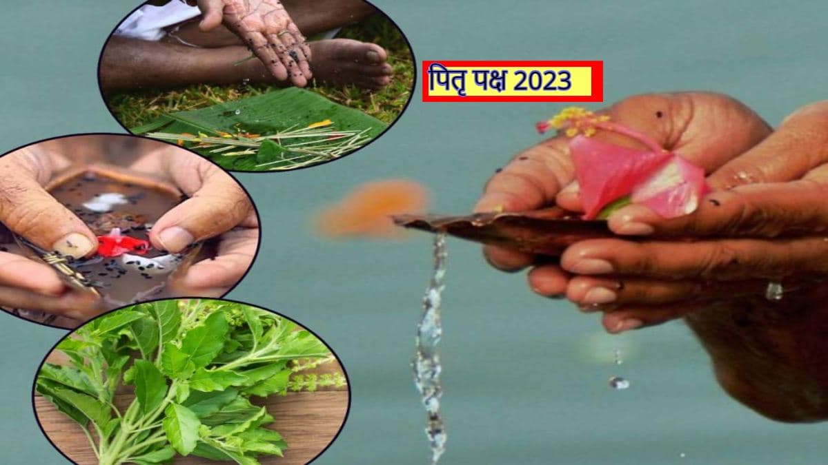 पितृ पक्ष में तुलसी के पास जरूर रख लें ये 1 चीज, मिलेगा पितरों का आशीर्वाद! पितृ दोष भी होगा दूर