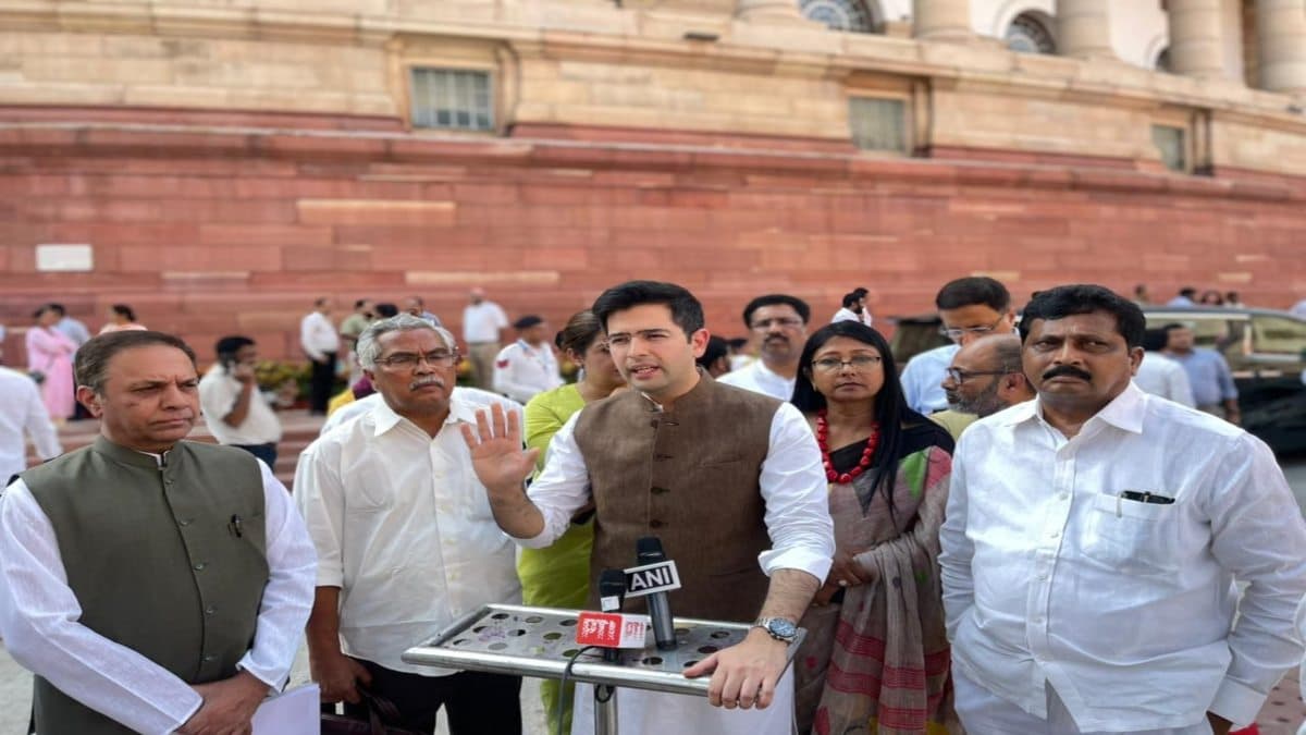 GNCDT विधेयक का राघव चड्ढा ने किया विरोध, बोले- इससे दिल्ली में लोकतंत्र की जगह 'बाबूशाही' आएगी