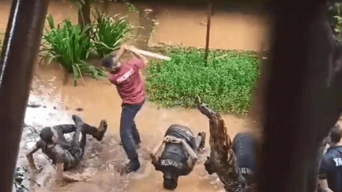 Thane Viral Video: एनसीसी कैडेट्स को सीनियर ने लाठी से पीटा, VIDEO देख कांप उठे लोग