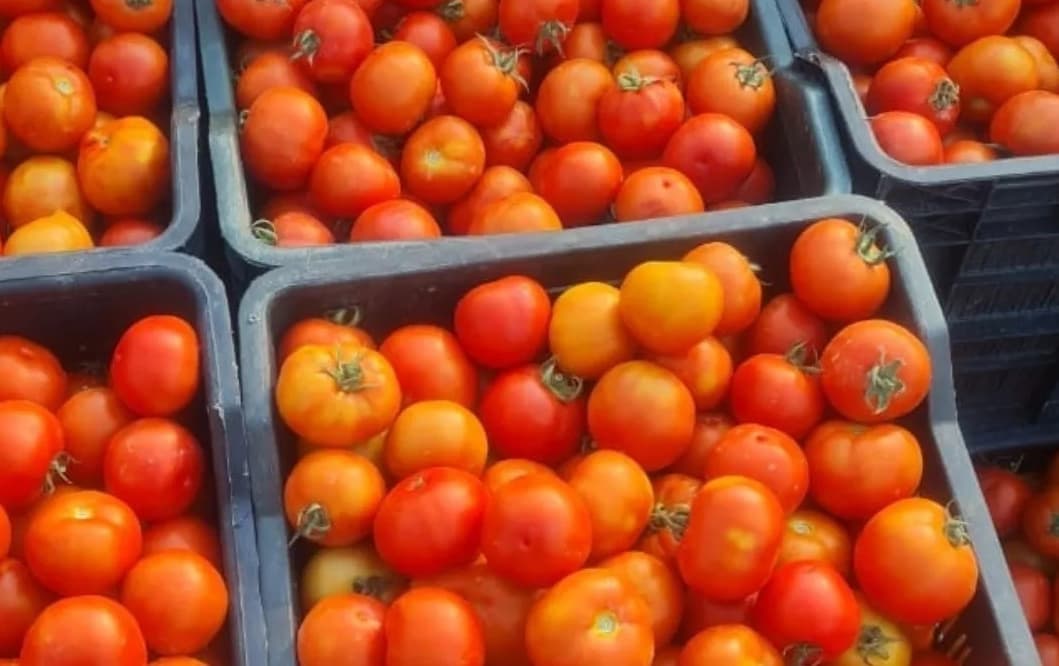 Tomato Price: बर्गर किंग के आउटलेट्स के बाहर लगा नोटिस; लिखा-टमाटर को भी है छुट्टी की जरूरत