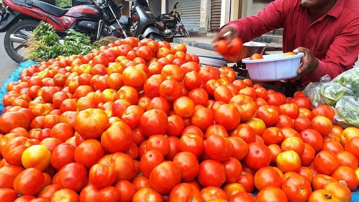 आज का टमाटर का रेट सुन आप माथा पकड़ लेंगे!