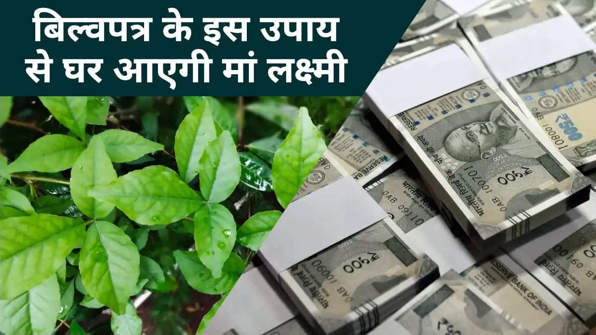 बिल्वपत्र के इस उपाय से घर आएगी मां लक्ष्मी, भर जाएंगे सारे भंडार