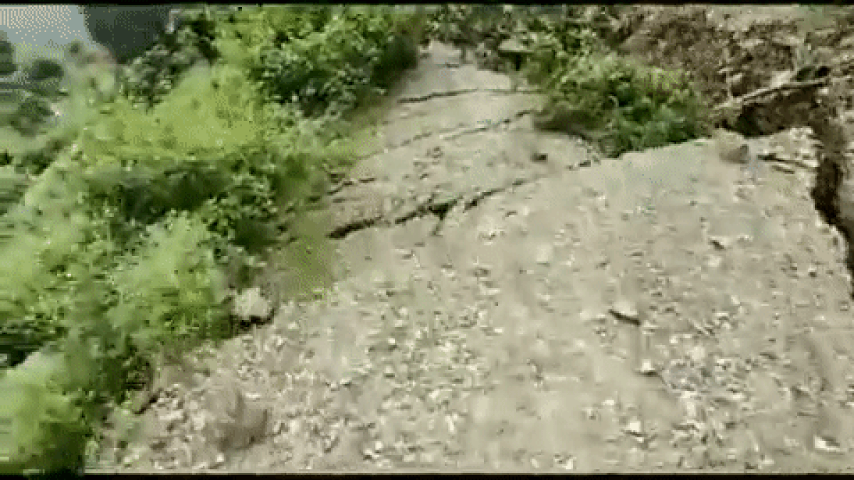 उत्तराखंड में बारिश ने मचाया 'गदर', बह गईं 7 गौशालाएं और 15 घर