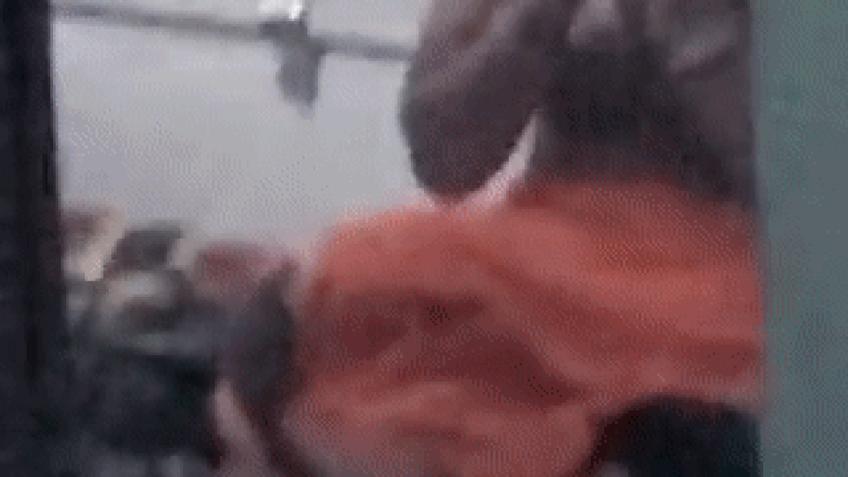 Watch Video: तीन घंटे तक टांग से लिपटा रहा सांप, वो अंदर तक गई कांप