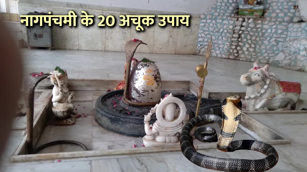नागपंचमी के 20 अचूक उपाय, एक भी कर लेंगे तो किस्मत बदल जाएगी