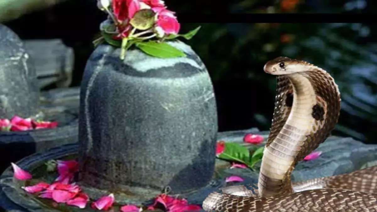 Nag Panchami 2025: नाग पंचमी पर करें ये 3 उपाय; कालसर्प दोष से मिलेगी मुक्ति, जीवन में बढ़ेंगी खुशियां