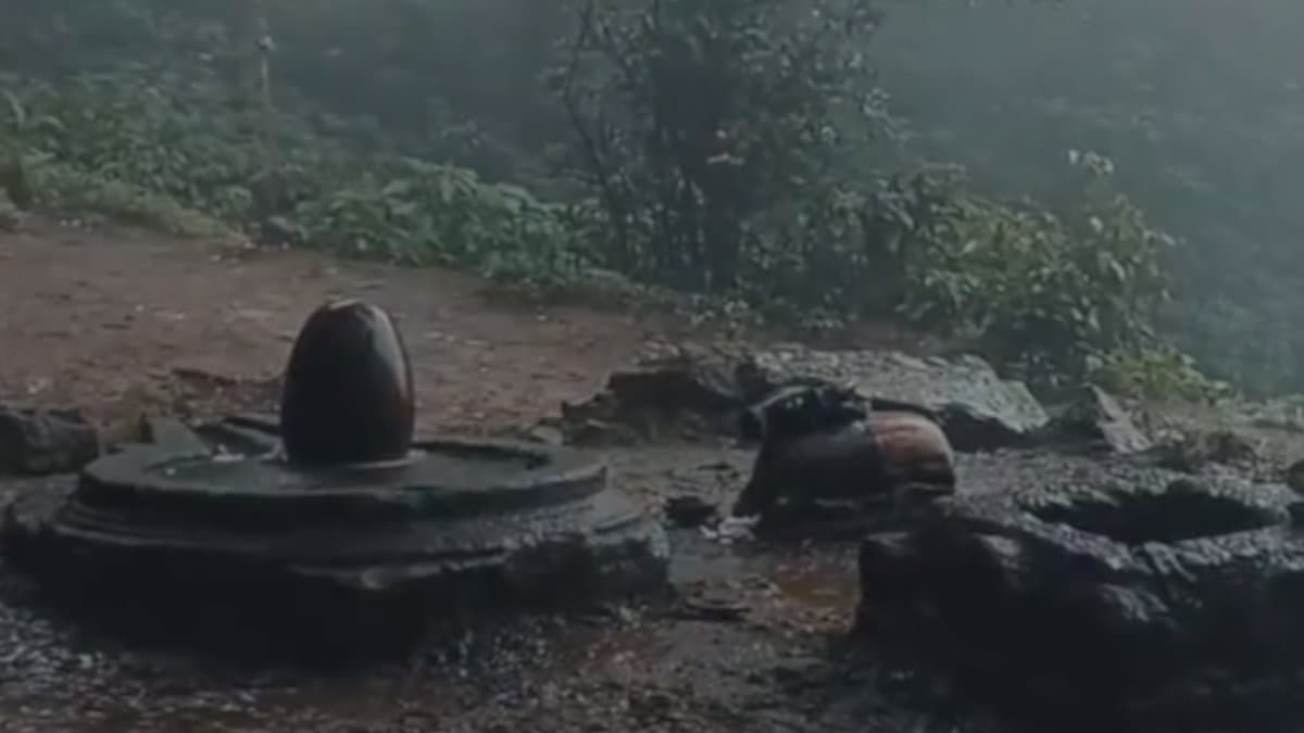 सोमवार को है नागपंचमी, इन उपायों को करते ही चमकेगी किस्मत, जमकर बरसेगा पैसा