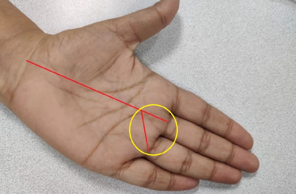 Palmistry: अगर आपकी हथेली में है ये एक निशान, तो कभी नहीं होगी धन-दौलत की कमी