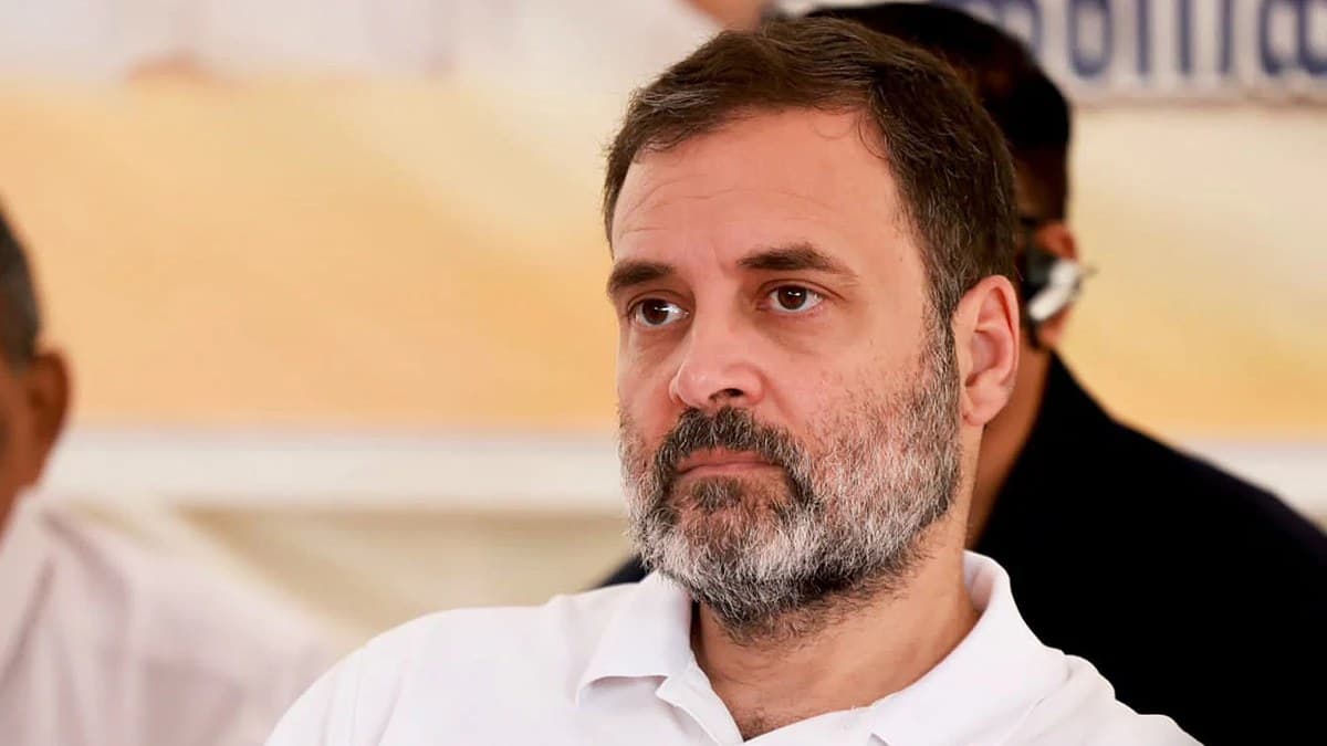 लोकसभा अध्यक्ष ने राहुल गांधी को इस समिति के लिए किया नामित, जानिए क्या होगा काम