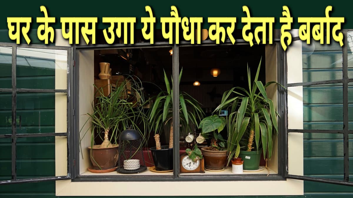 Jyotish tips, vastu tips, vastu dosha, astrology