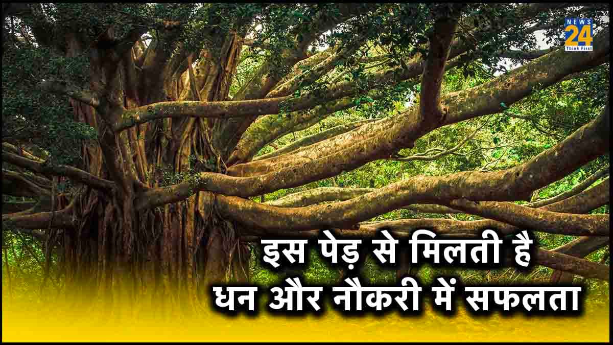 बरगद के चमत्कारी पेड़ से मिलती है धन और नौकरी में सफलता, आज ही अपनाएं ये आसान उपाय