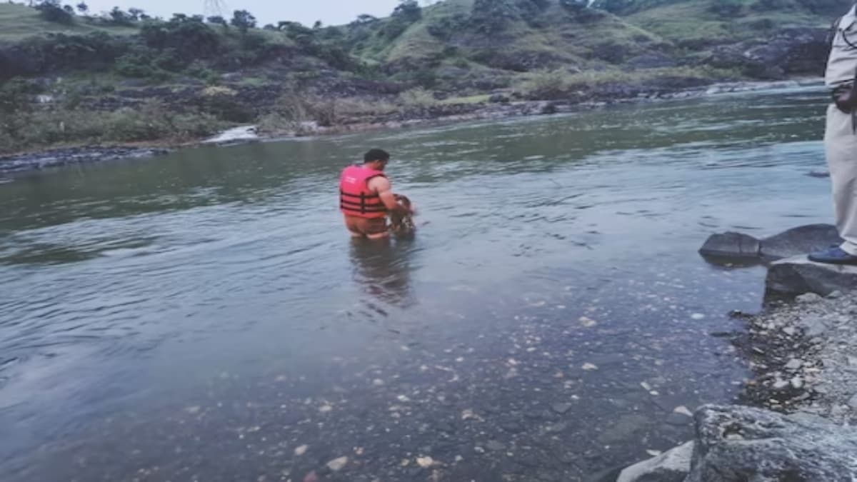 MP: पिकनिक मनाने गए थे एयर फोर्स के 9 जवान; नदी में नहाते समय दो लापता, तलाश जारी