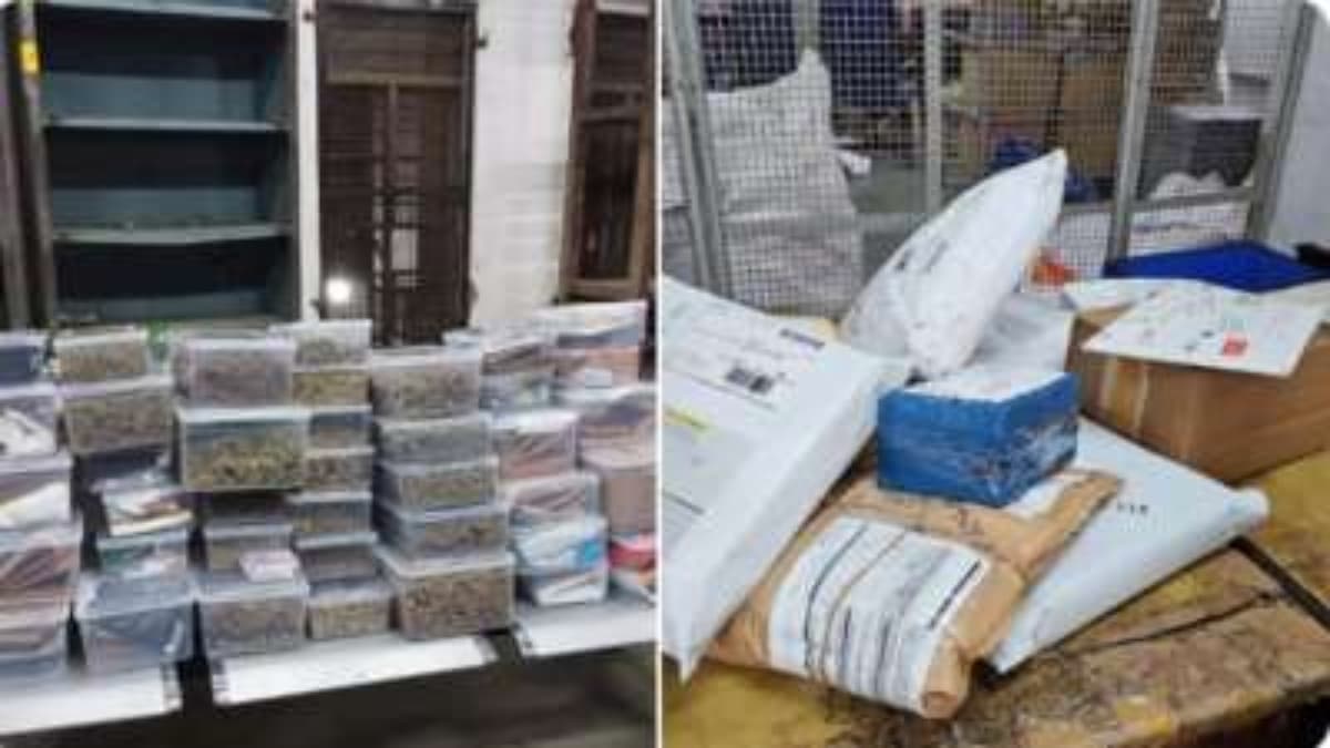 अहमदाबाद में इंटरनेशनल ड्रग्स रैकेट का खुलासा, किताबों-खिलौनों के जरिए चल रहा था 'खेल'