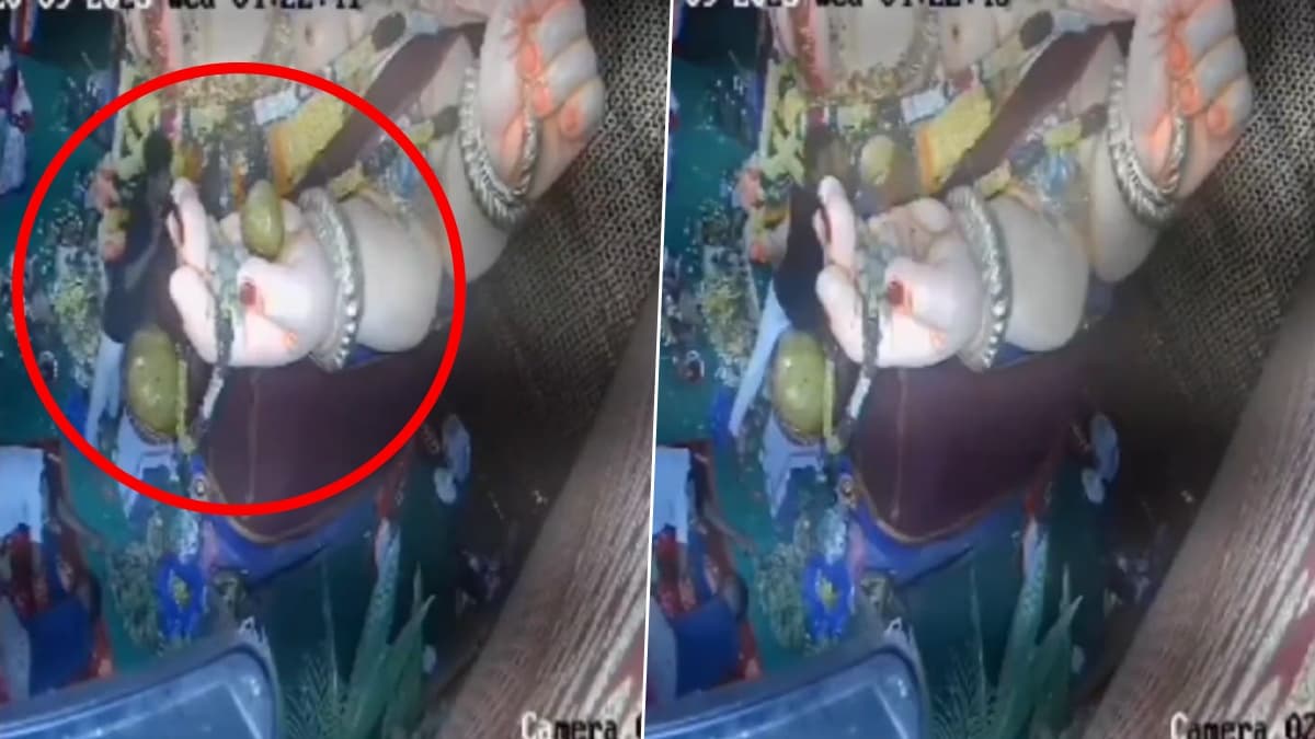 11 KG का लड्डू चढ़ाकर सो गए गणपति जी के प्यारे; आंख खुली तो फिरे मारे-मारे