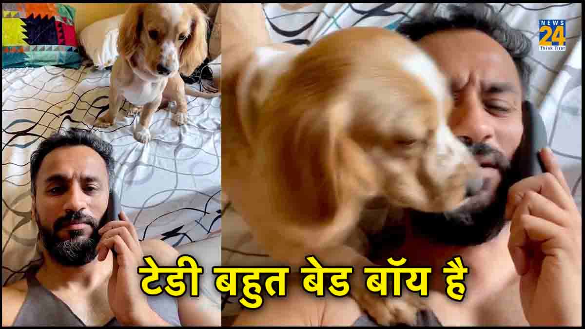 Watch Video: वो हमको मिलने भी नहीं देता है... ये सुनते ही डॉग ने दिया ऐसा क्यूट रिएक्शन