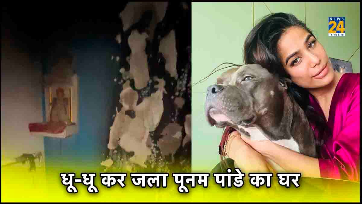 Poonam Pandey के घर में लगी भयंकर आग, एक्ट्रेस थी बाहर और डॉगी अंदर, वीडियो में कैद हुआ भयानक मंजर