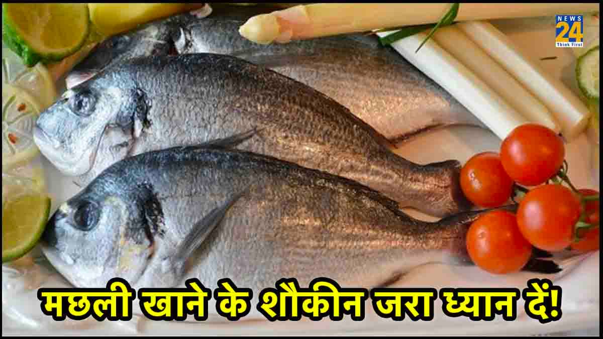 fish मछली पर हुए शोध में नई जानकारी निकल कर सामने आई है। फाइल फोटो