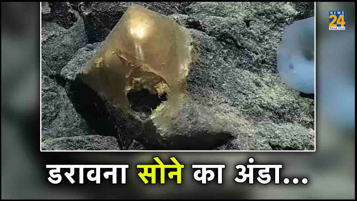समुद्र में मिला डरावना सोने का अंडा, जानें क्या बोले वैज्ञानिक?