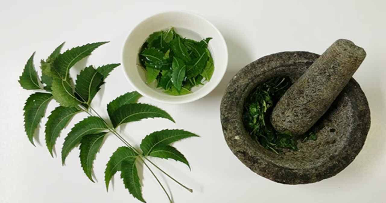 सुबह खाली पेट चबाएं नीम के पत्ते, होंगे ये जबरदस्त फायदे