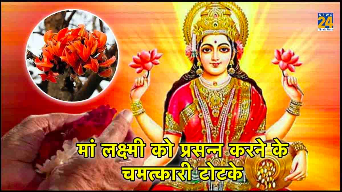 मां लक्ष्मी को प्रसन्न करने के लिए अपनाएं ये आसान उपाय, तुरंत बदल जाएगी आपकी किस्मत