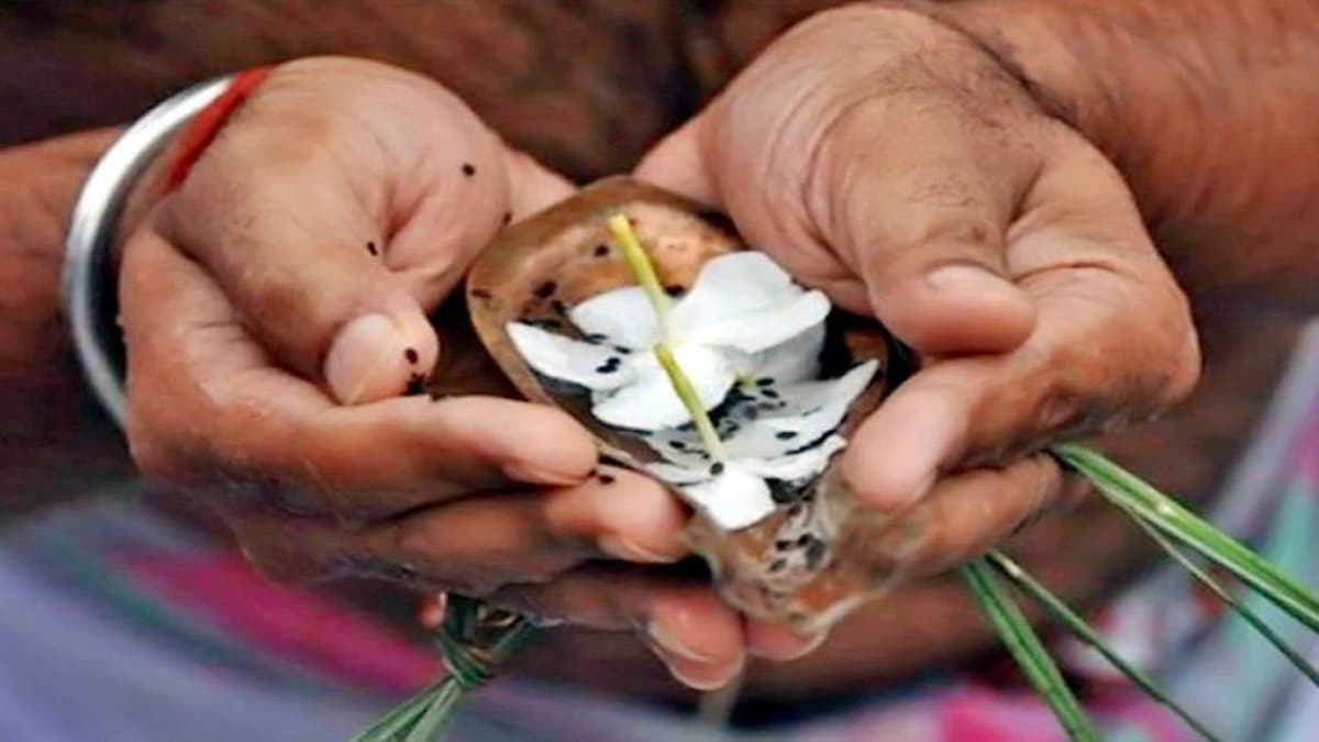 Pitru Paksha 2023: जो लोग नहीं करते पितृ पक्ष में श्राद्ध, तर्पण और पिंडदान; उन्हें पितर देते हैं ये 5 श्राप!