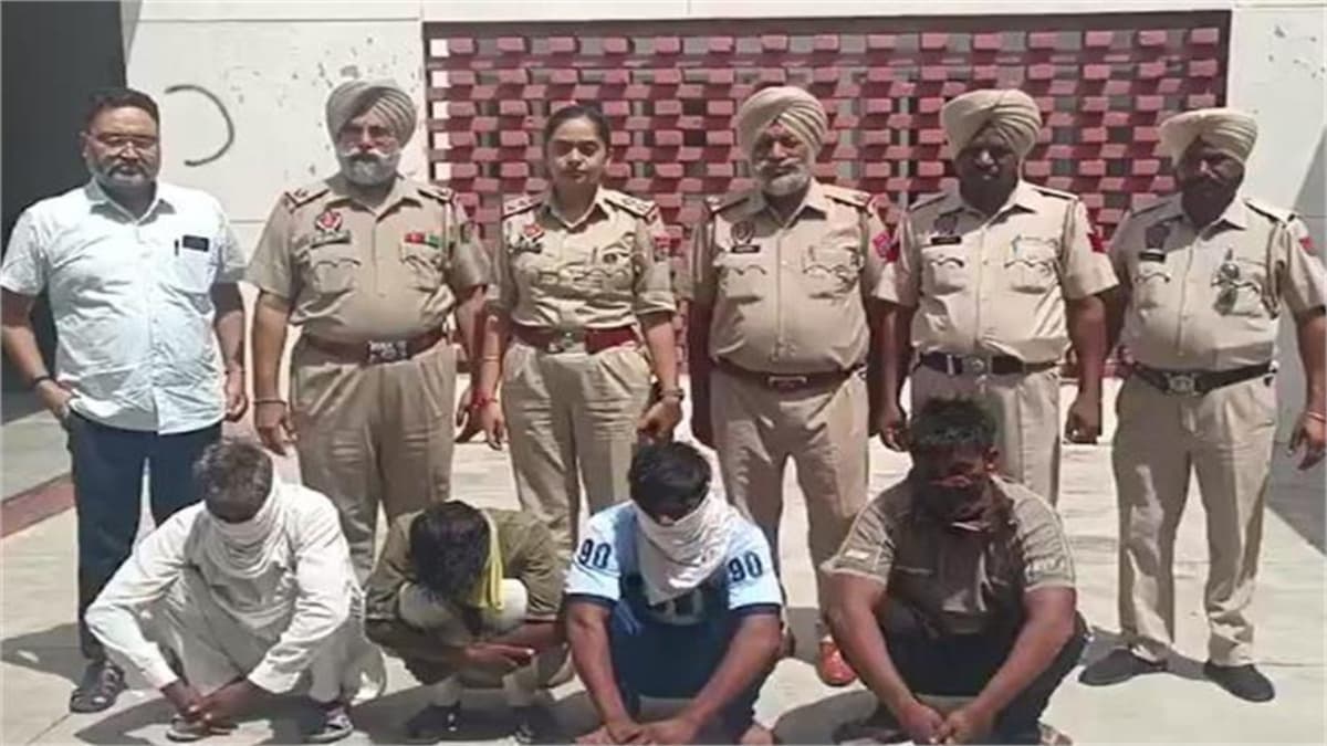 इंसानी रिश्तों पर भारी पड़ा एक कुत्ते का प्यार; पहले घर की बिजली काटी-फिर ले ली जान