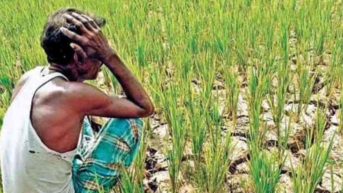 IMD के ताजा अपडेट से बढ़ सकती है सरकार की टेंशन, फिर बनी 1901 जैसी स्थिति; जानें क्या है पूरी Report