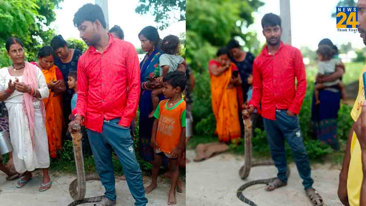 किंग कोबरा से मौत का खेल खेलते दिखे मां और बेटे, वीडियो देख आप भी रह जाएंगे हैरान