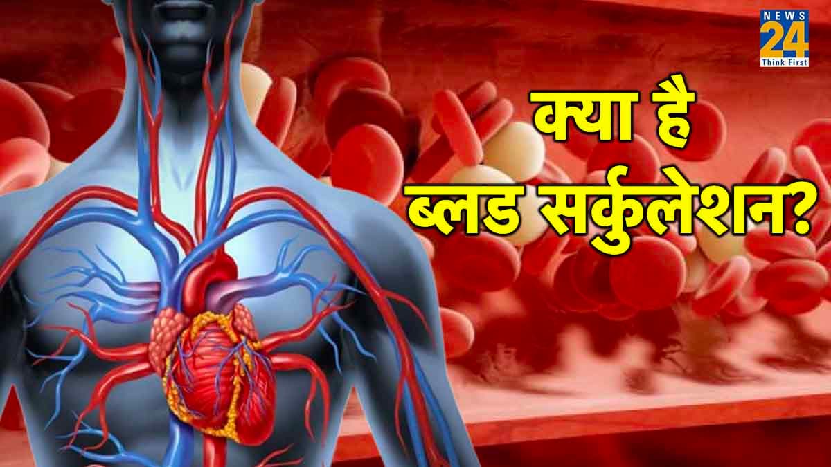 ब्लड सर्कुलेशन कैसे करता है काम, क्या जानते हैं ये रुक भी सकता है, जानें कैसे?