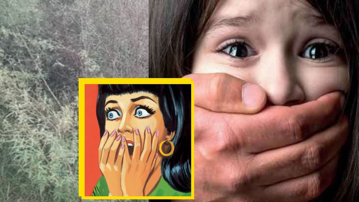 12 साल की दिव्यांग को झाड़ियों में ले गया युवक, चिल्लाने की आवाज सुन मां दौड़ी आई, फिर क्या हुआ जानिए