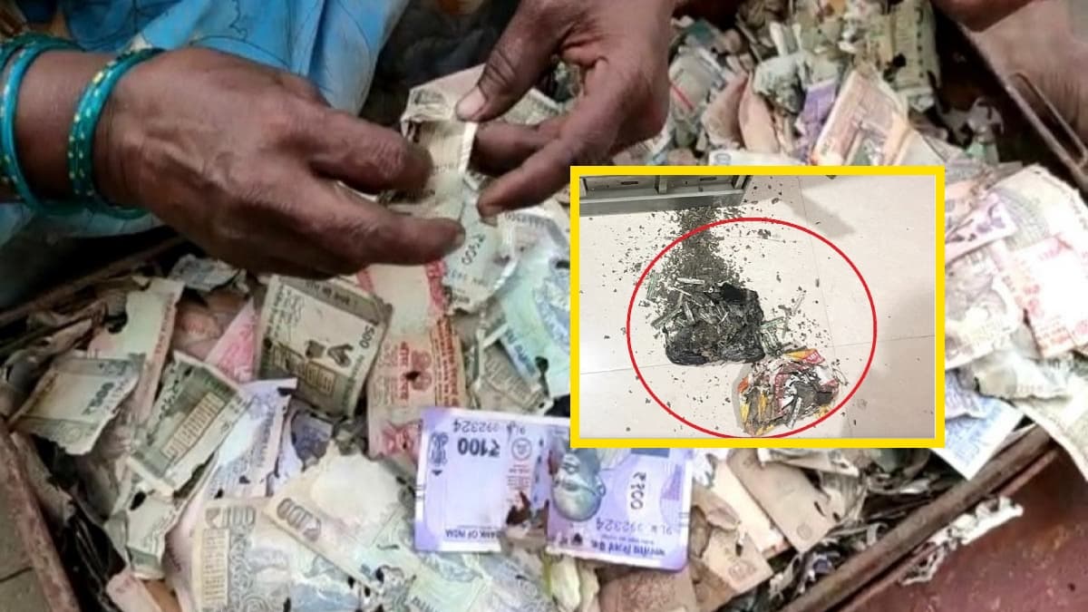 अभागी मां ने बचाने के लिए साख, बेटी की शादी को जुटाए 18 लाख, दिल पर लगी चोट, दीमक चट कर गए नोट