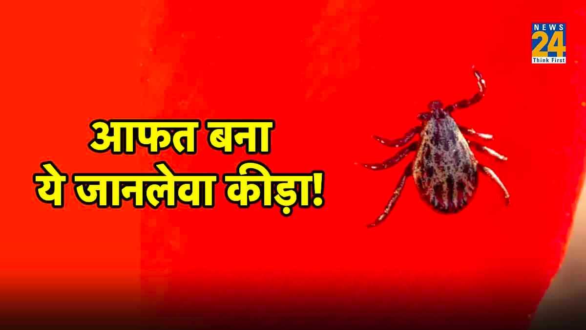 ये है जानलेवा कीड़ा, काटते ही ले लेता है जान! जानें संक्रमण और उसकी पहचान