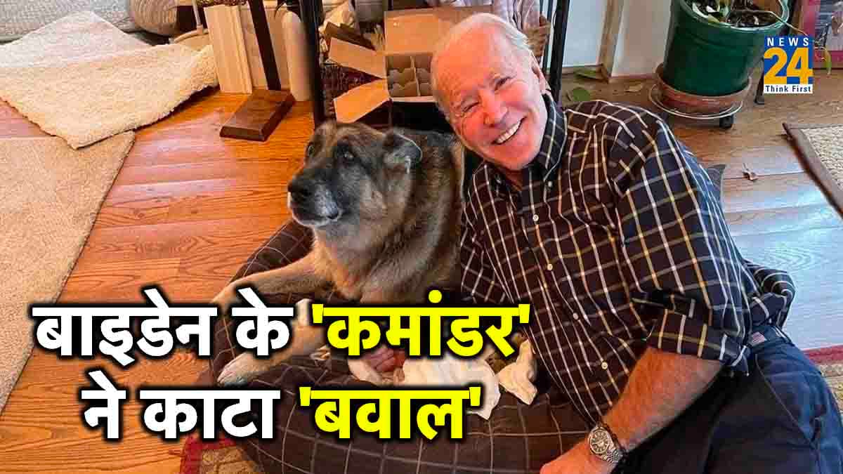 US President Biden Dog Commander Bites Secret Service Agent