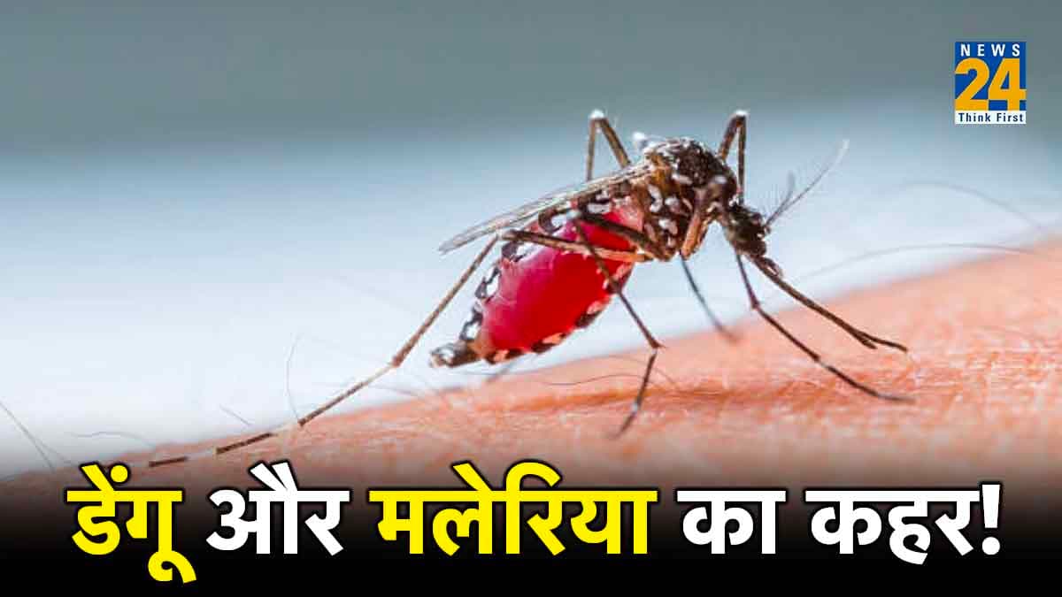डेंगू और मलेरिया में क्या अंतर है? कैसे कर सकते हैं इसकी रोकथाम और पहचान