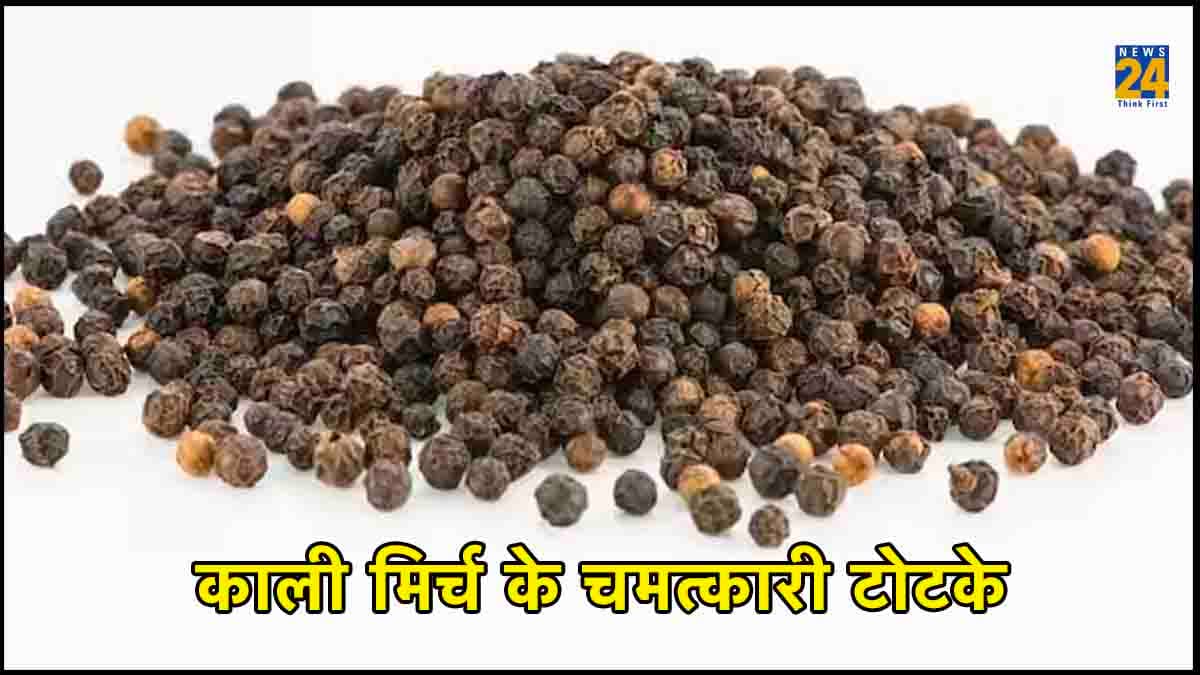 काली मिर्च के ये टोटके आपको दिलाएंगे बेशुमार धन-दौलत, रातों रात बिजनेस में होगी तरक्की