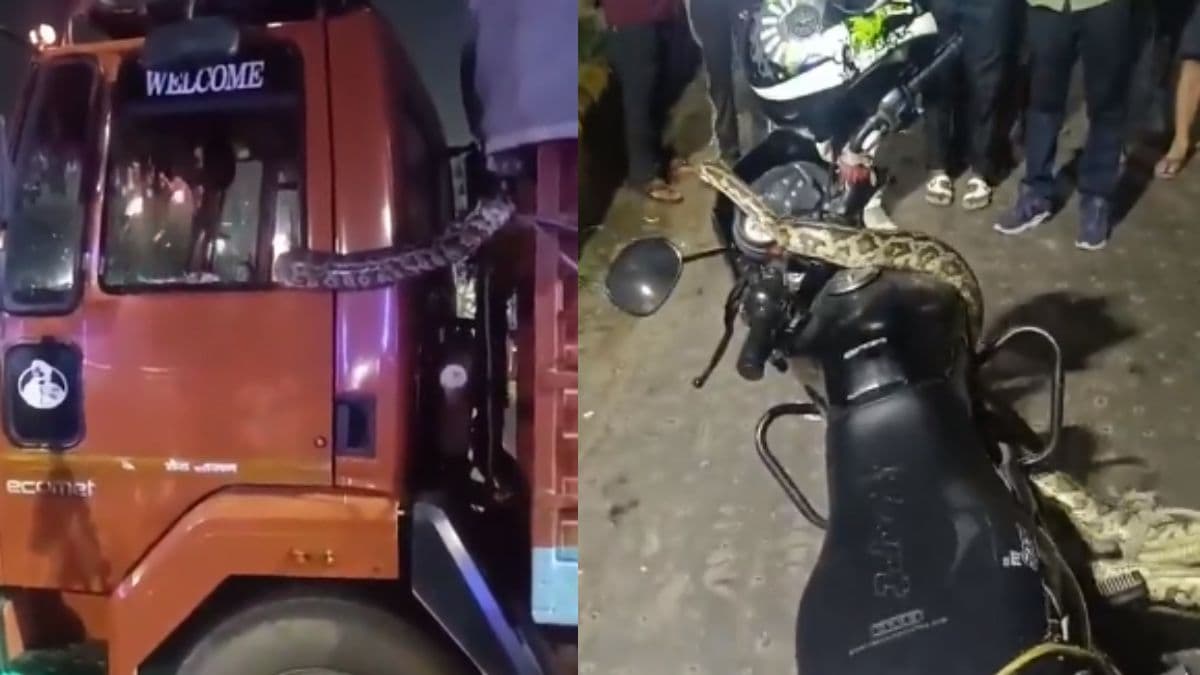 Watch Video: अजगर ने पहले ट्रक, फिर बाइक पर की सवारी! अति हुई तो पहुंचे पुलिस अधिकारी