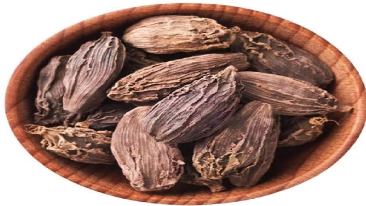 Big Cardamom Benefits: अस्थमा सहित कई बीमारियों का रामबाण इलाज, लिस्ट में शामिल कई नाम