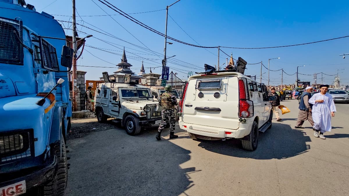 हमास अटैक से कितने दुखी हैं इजरायली? फ्रेंडली कुत्ते सूंघ कर लगा रहे पता