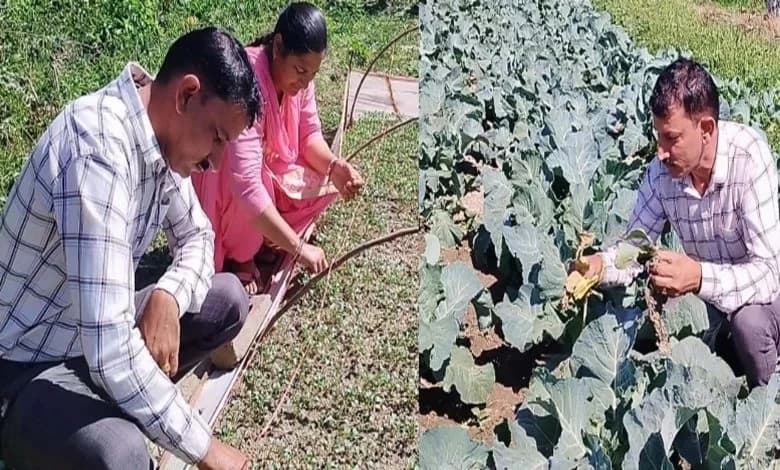 एक किसान, जो सिर्फ 3 बीघे जमीन से कमा रहा 5 लाख रुपए सालाना; बेमौसमी सब्जियां उगाकर बना मिसाल