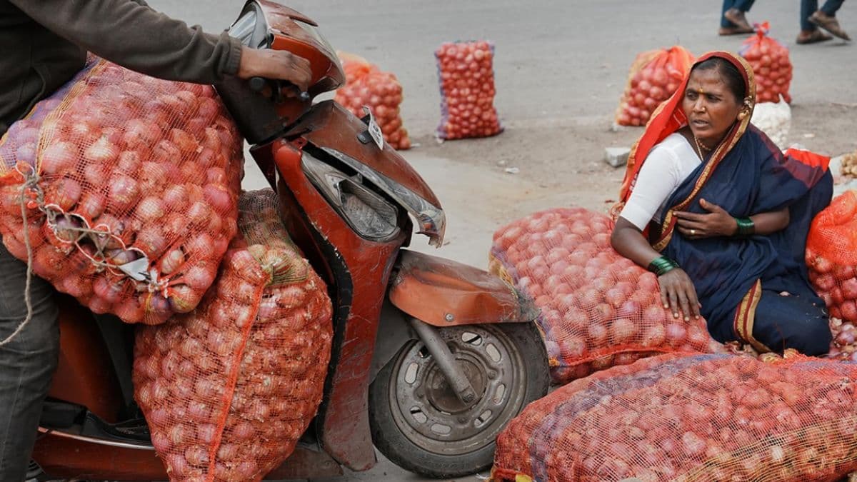 onion price, onion price hike, onion rate in india, onion price update in hindi,