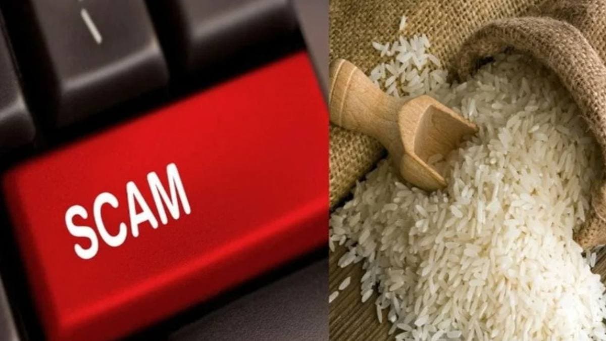 छत्तीसगढ़ चावल घोटाला: ED ने जब्त किए 1.06 करोड़ रुपये समेत आपत्तिजनक दस्तावेज, दावा- 175 करोड़ की जुटाई गई रिश्वत