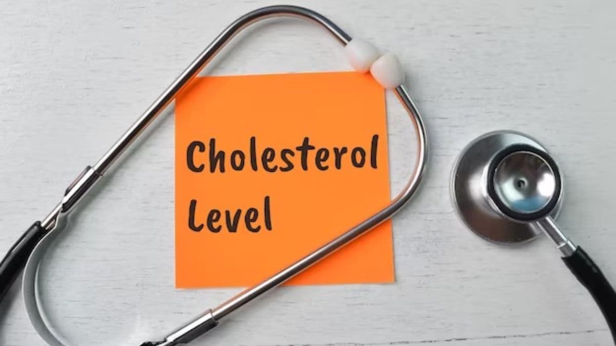 क्या है Cholesterol का सही लेवल? खतरे के निशान तक पहुंचा तो कैसे करेंगे बचाव