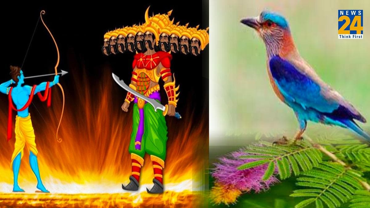 Dussehra 2023: दशहरे के दिन जरूर करें 5 काम, पूरे साल जीवन में रहेंगे खुशहाल