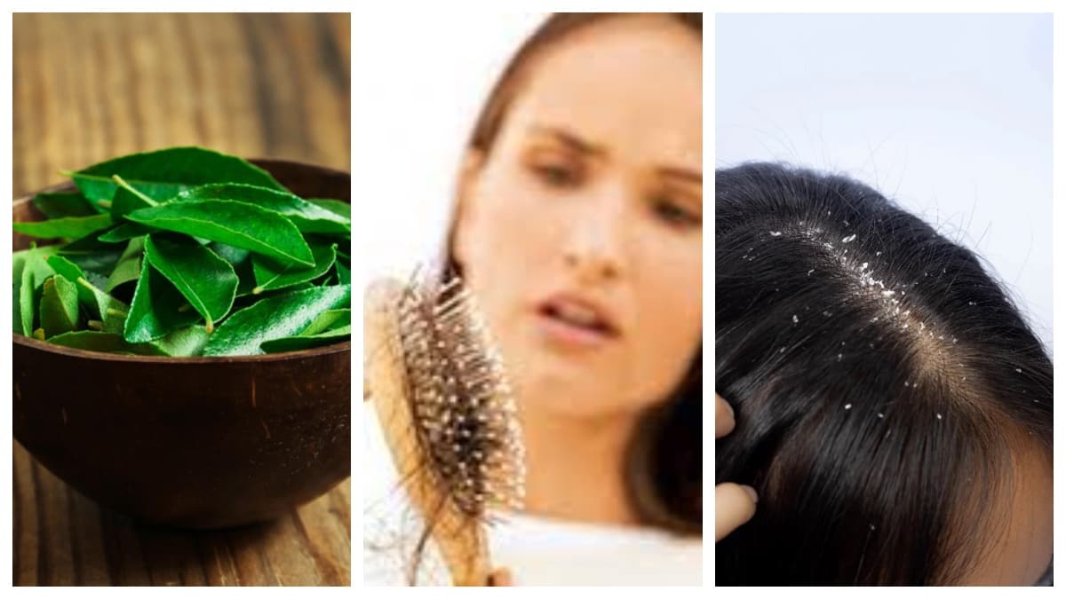 Curry Leaves: लगातार झड़ते बालों से पाए राहत, इन 3 होममेड टिप्स के साथ