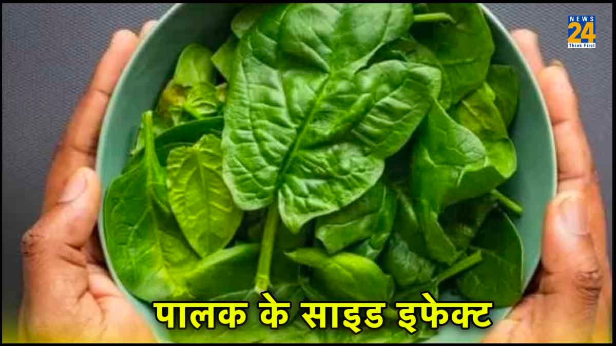 भूलकर भी पालक न खाएं ये 3 तरह के लोग, वरना बढ़ जाएंगी मुश्किलें