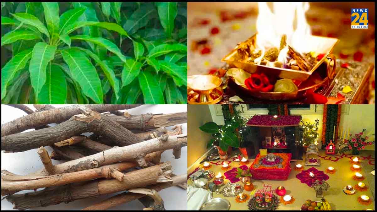 पूजा-पाठ या हवन में क्यों जरूरी होता है आम की लकड़ी और पत्ता, जानें इसका महत्व और फायदा